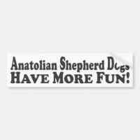 Anatolische Schäfer-Hunde haben mehr Spaß! -