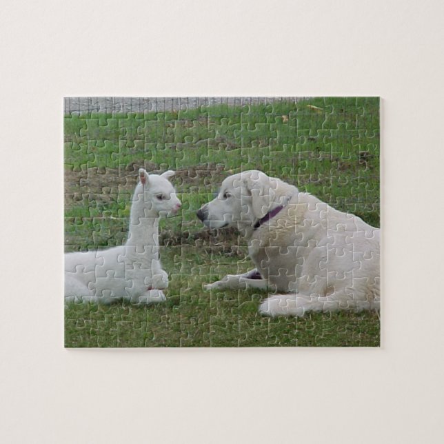 Anatolischer Schäferhund und Alpaca Cria Puzzle (Horizontal)