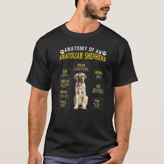 Anatomie Anatolischer Schäferhund für Frauen T-Shirt (Vorderseite)