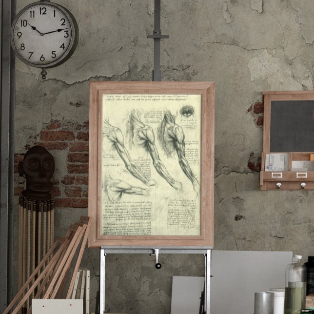 Anatomie Arm und Schulter von Leonardo da Vinci Poster (Von Creator hochgeladen)