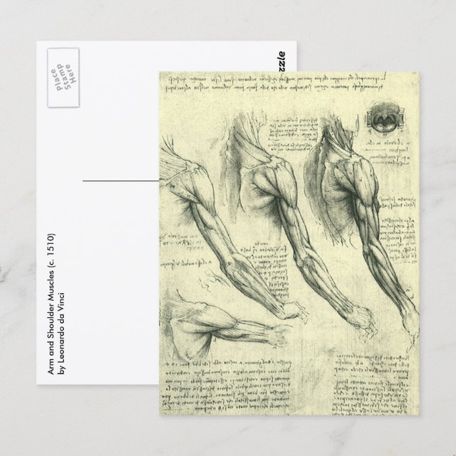 Anatomie Arm und Schulter von Leonardo da Vinci Postkarte (Vorne/Hinten)