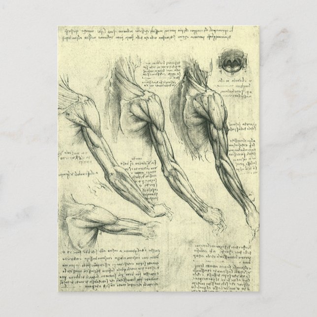Anatomie Arm und Schulter von Leonardo da Vinci Postkarte (Vorderseite)