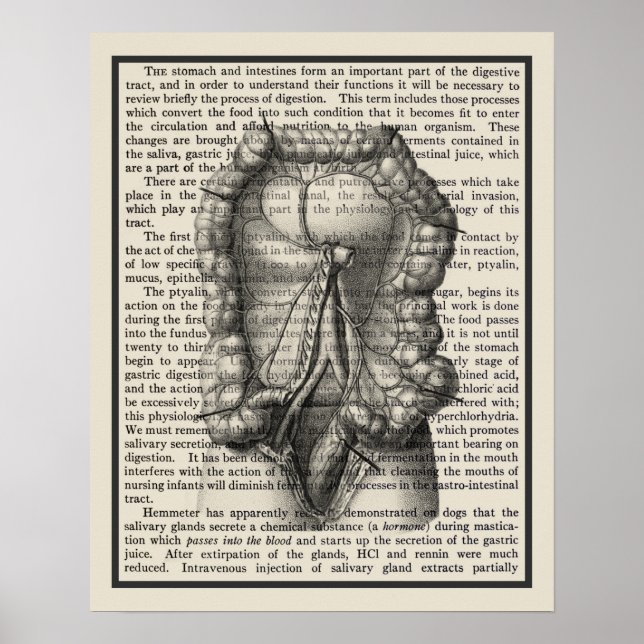 Anatomie-Art-Print #8 Medizinische Dekoration (Vorne)