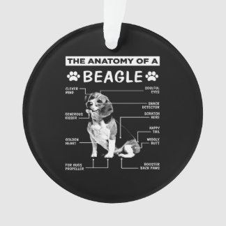 Anatomie Beagle Hund Ornament