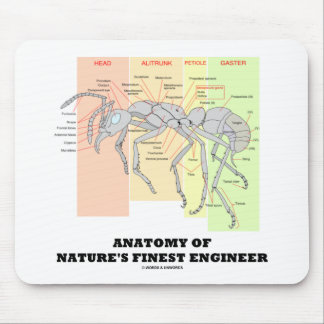 Anatomie der besten Entomologie-Ingenieurin der Na Mousepad
