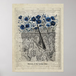 Anatomie der Haut Blaue Blüte Vintage Wörterbuchku Poster