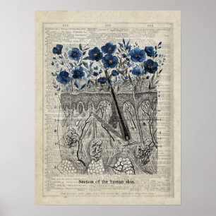 Anatomie der Haut Blaue Blüte Vintage Wörterbuchku Poster