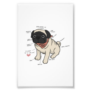 Anatomie der Hundekarte des Mops Fotodruck