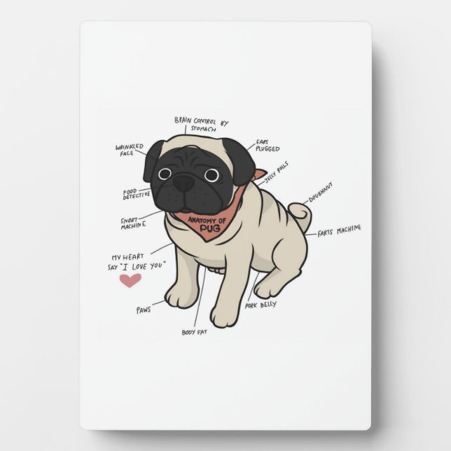 Anatomie der Hundekarte des Mops Fotoplatte (Vorderseite)