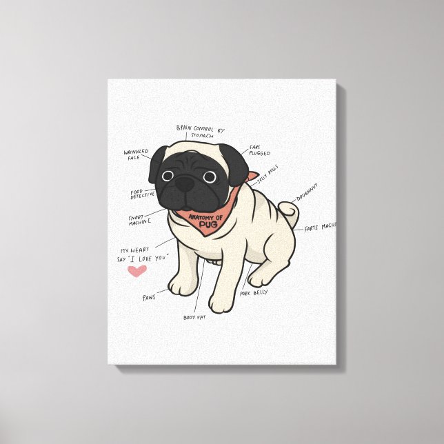 Anatomie der Hundekarte des Mops Leinwanddruck (Vorderseite)
