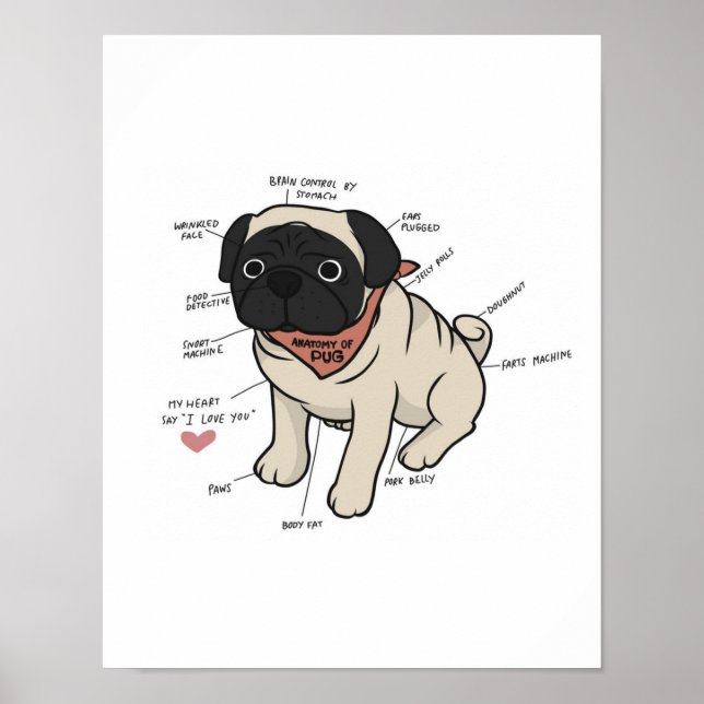 Anatomie der Hundekarte des Mops Poster (Vorne)