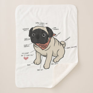 Anatomie der Hundekarte des Mops Sherpadecke
