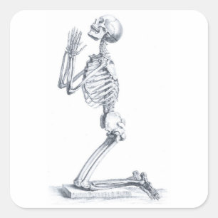 Anatomie der Knochen Aufkleber