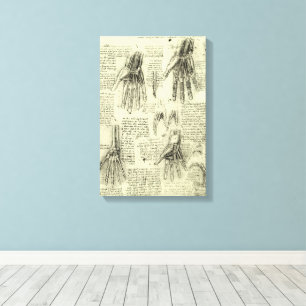 Anatomie der menschlichen Hand durch Leonardo da V Leinwanddruck