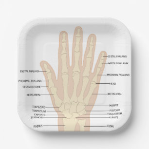 Anatomie der menschlichen Hand Pappteller