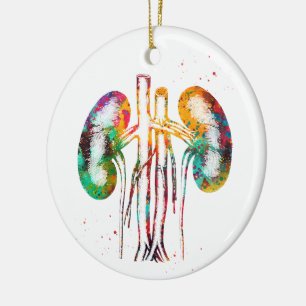 Anatomie der Nieren Keramik Ornament
