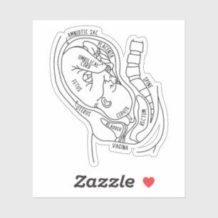 Anatomie der Schwangerschaft, Fetus in Utero, Gesc Aufkleber
