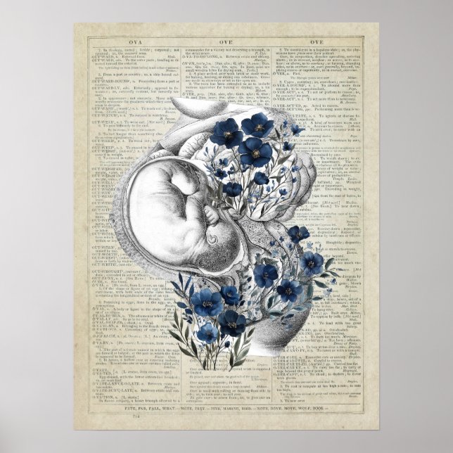Anatomie der Schwangerschaft mit blauen Blüten Poster (Vorne)