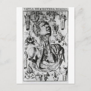Anatomie des Atmungssystems Postkarte