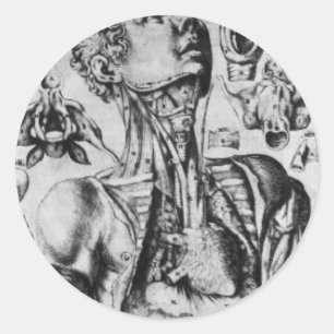 Anatomie des Atmungssystems Runder Aufkleber
