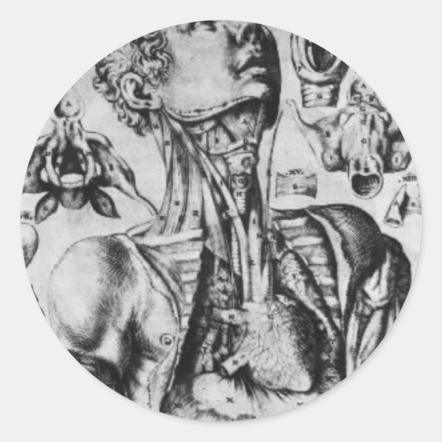 Anatomie des Atmungssystems Runder Aufkleber (Vorderseite)