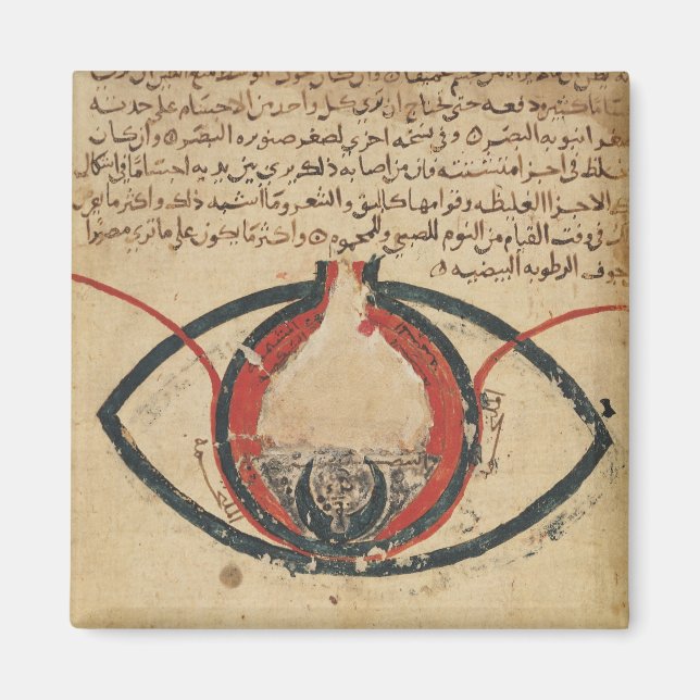 Anatomie des Auges, aus einem Buch über Augenkrank Magnet (Vorne)