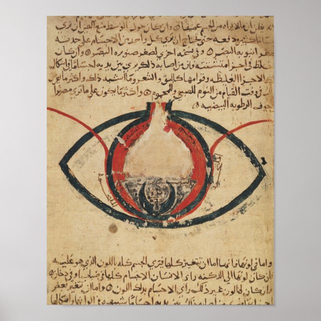 Anatomie des Auges, aus einem Buch über Augenkrank Poster (Vorne)