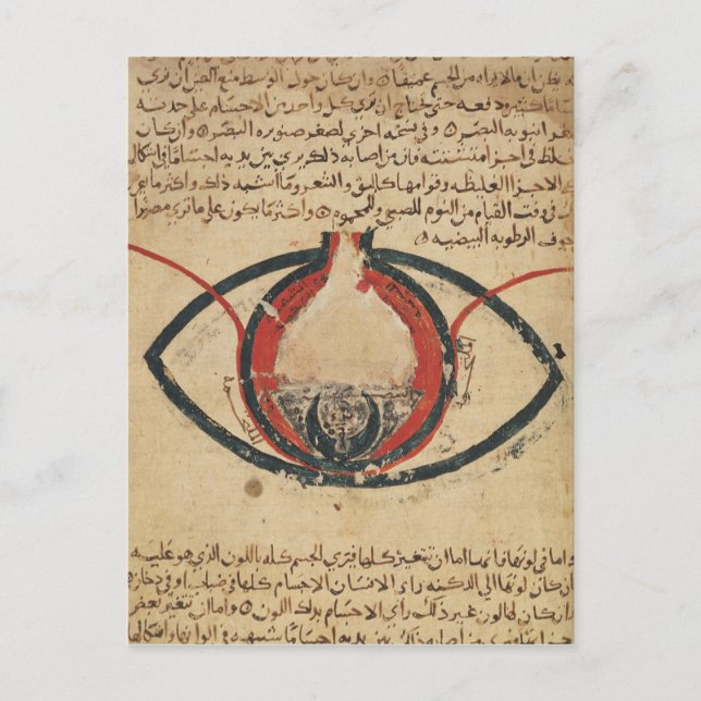 Anatomie des Auges, aus einem Buch über Augenkrank Postkarte (Vorderseite)