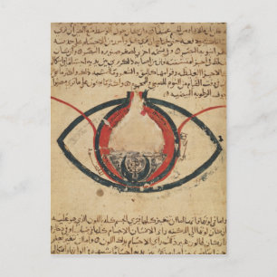 Anatomie des Auges, aus einem Buch über Augenkrank Postkarte