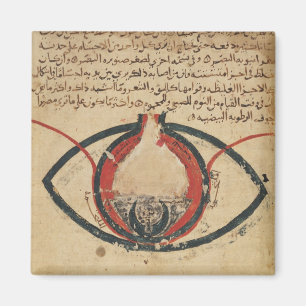 Anatomie des Auges, von einem Buch auf Magnet