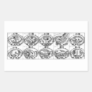 Anatomie des Babys in der Gebärmutter Vintag Rechteckiger Aufkleber