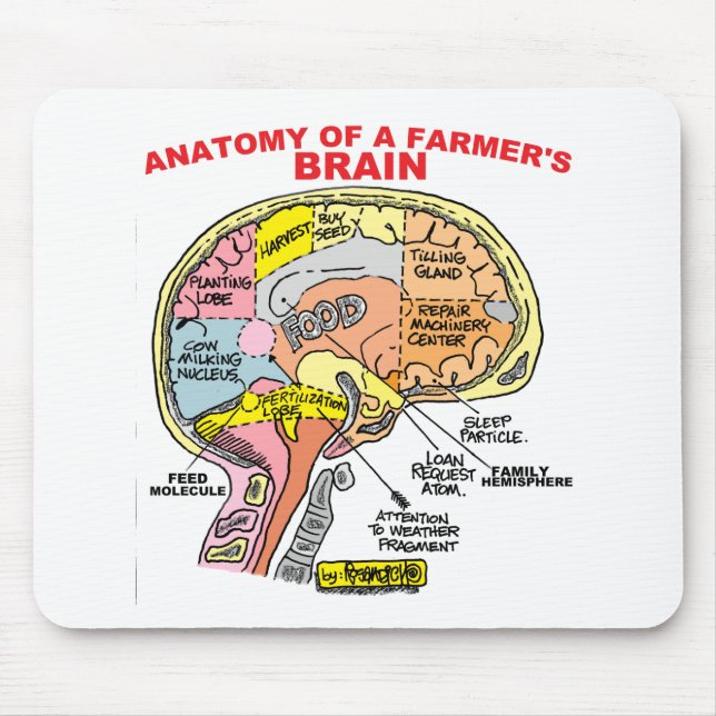 ANATOMIE DES GEHIRNS EINES BAUERN MOUSEPAD (Vorne)
