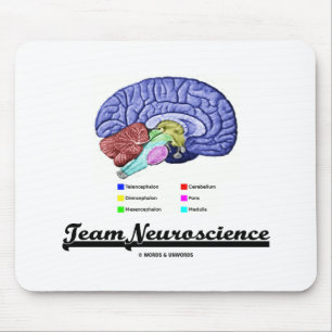 Anatomie des Gehirns im Team Neurowissenschaft Att Mousepad