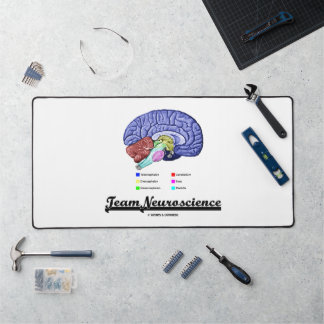 Anatomie des Gehirns im Team Neurowissenschaft Att Schreibtischunterlage