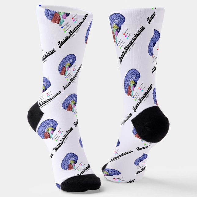 Anatomie des Gehirns im Team Neurowissenschaft Att Socken (Gewinkelt)