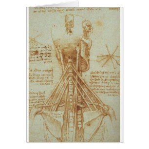 Anatomie des Halses durch Leonardo da Vinci C.