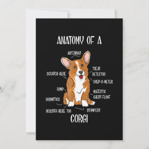 Anatomie des Hundes , Niedliches Welsh Corgi Welpe Feiertagskarte