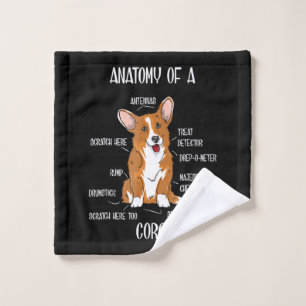 Anatomie des Hundes , Niedliches Welsh Corgi Welpe Waschlappen