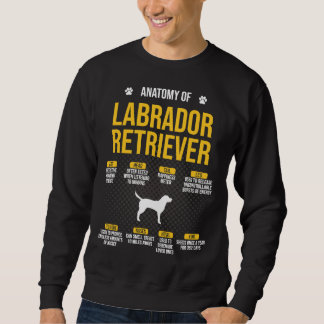Anatomie des Labrador Retriever Dog 164 Sweatshirt