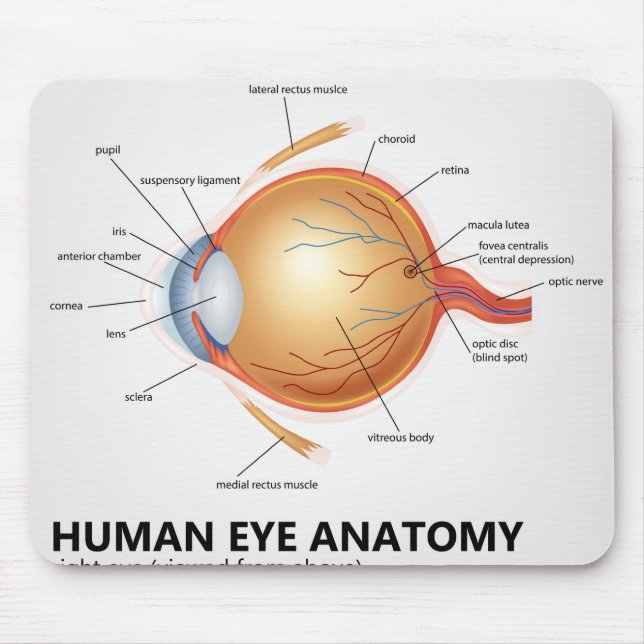 Anatomie des menschlichen Auges Mousepad (Vorne)