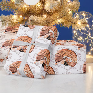 Anatomie des menschlichen Gehirns Neuheit Geschenkpapier