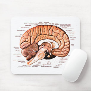 Anatomie des menschlichen Gehirns Neuheit Mousepad