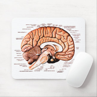 Anatomie des menschlichen Gehirns Neuheit Mousepad