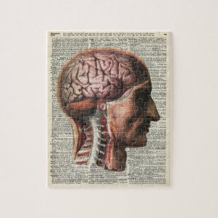 Anatomie des menschlichen Gehirns Puzzle