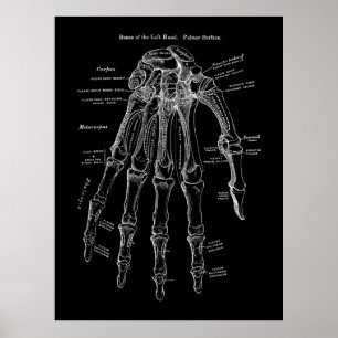 Anatomie des menschlichen Handknochens Poster