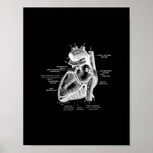 Anatomie des menschlichen Herzens in Schwarz und W Poster