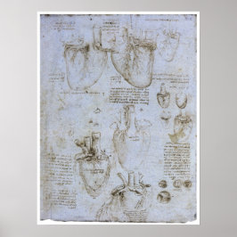 Anatomie des menschlichen Herzens, Leonardo da Vin Poster