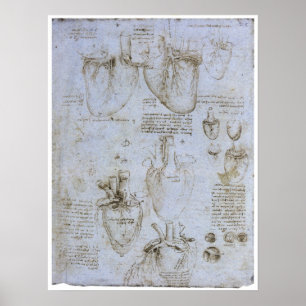 Anatomie des menschlichen Herzens, Leonardo da Vin Poster