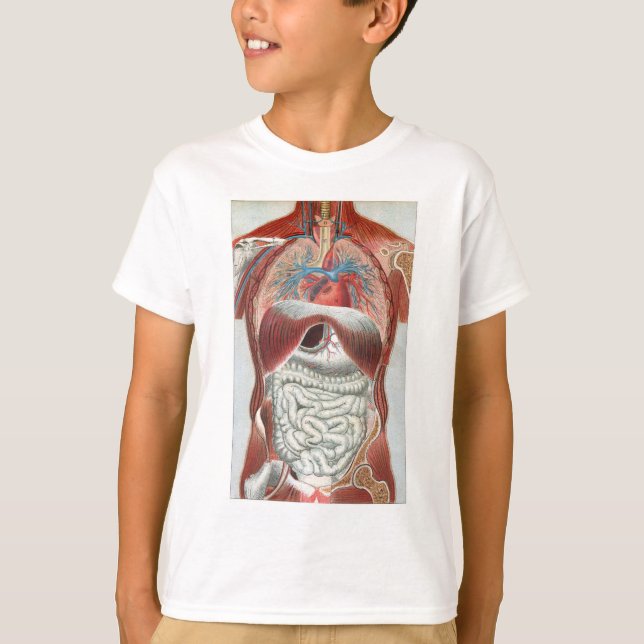 Anatomie des menschlichen Körpers T-Shirt (Vorderseite)