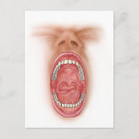 Anatomie des menschlichen Mund-Hohlraumes